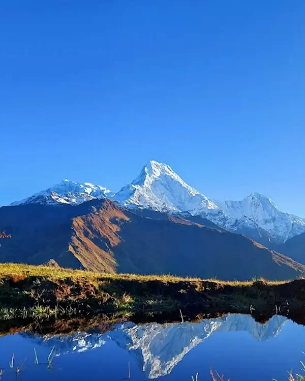 Khopra Danda Trek